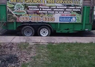 Tree Expert