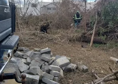 Tree Specialist