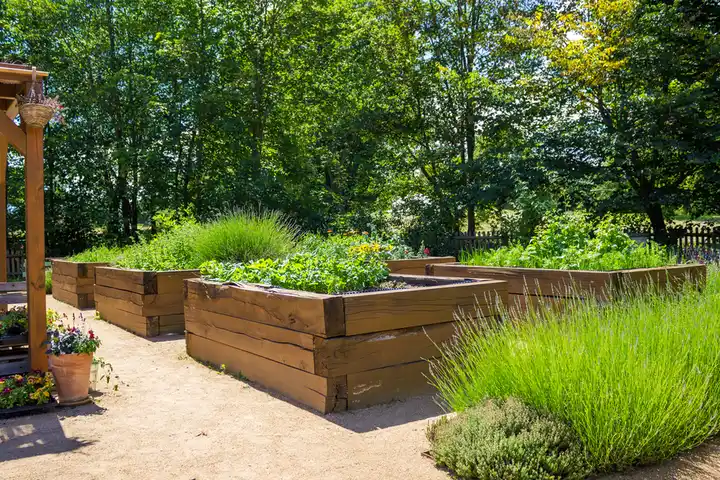 Landscaping Services